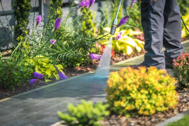 Best Fence Cleaning  in Osakis, MN